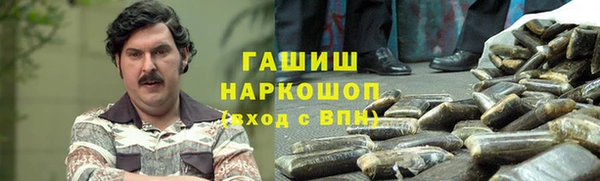 стаф Алзамай