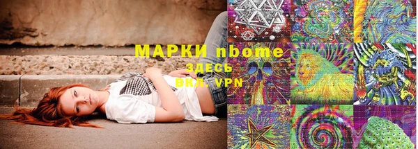 стаф Абинск