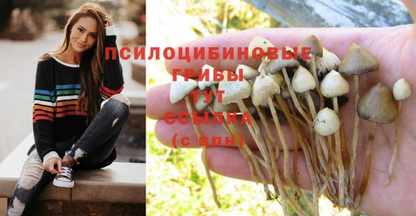 гашик Абаза