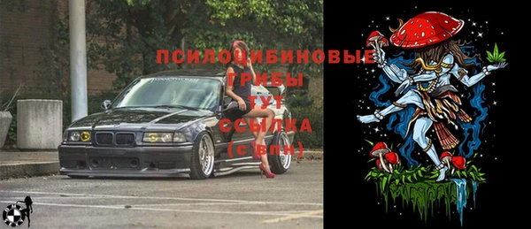стаф Абинск
