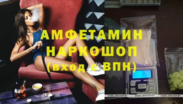 стафф Алексин