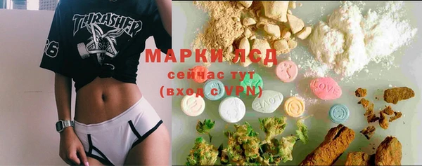 стаф Алзамай