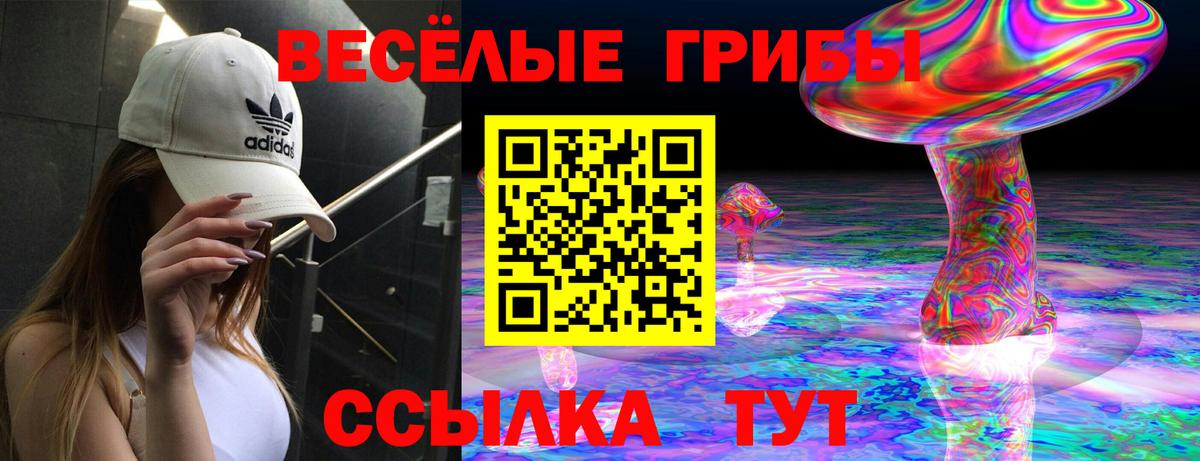 Тында  Псилоцибиновые грибы мухоморы  Вход с VPN 