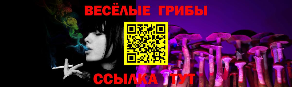 Галлюциногенные грибы MAGIC MUSHROOMS Тында